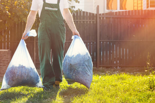 Best Furniture Removal  in Tanaina, AK